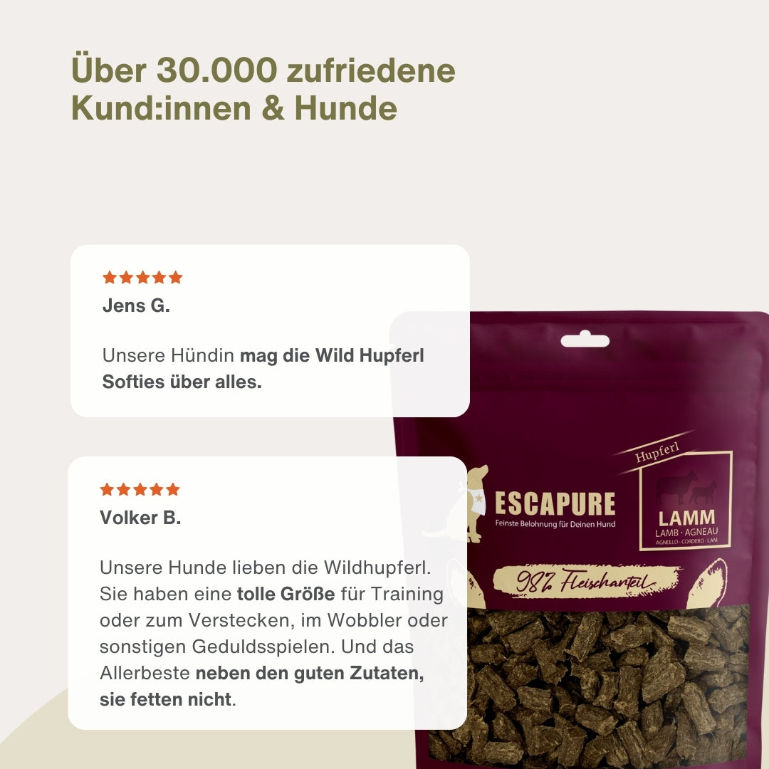 Testpaket Lamm