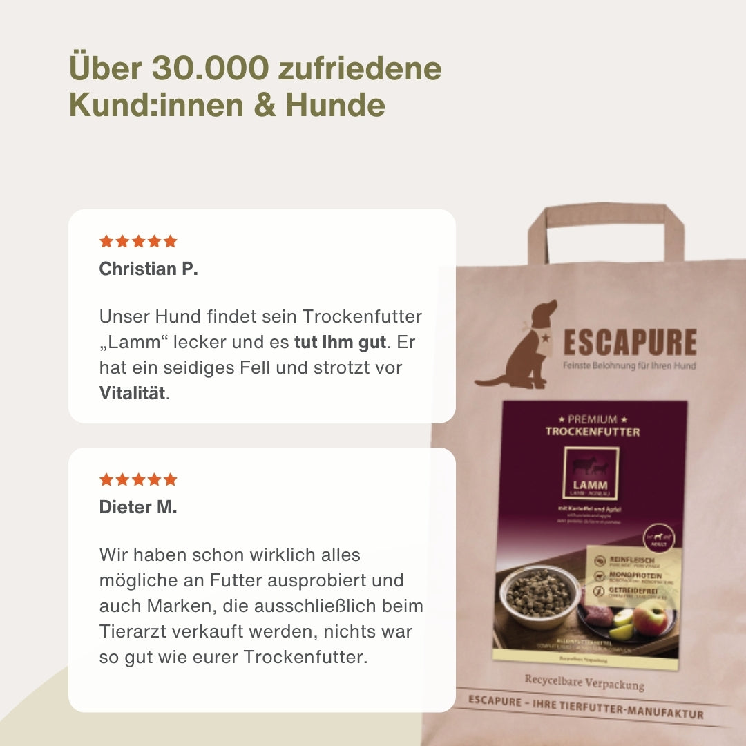Testpaket Lamm