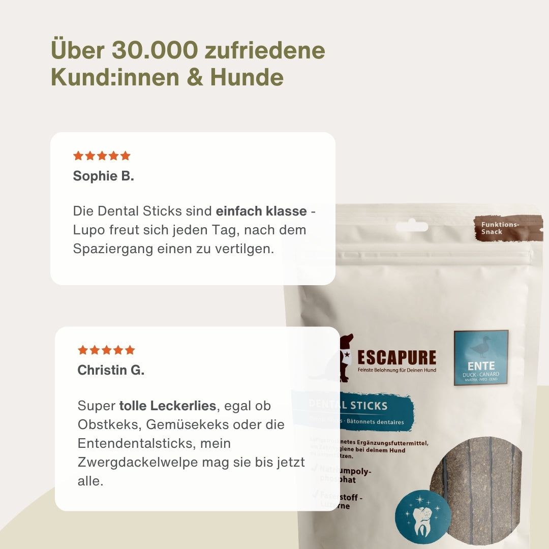 Bestseller Box für Hunde