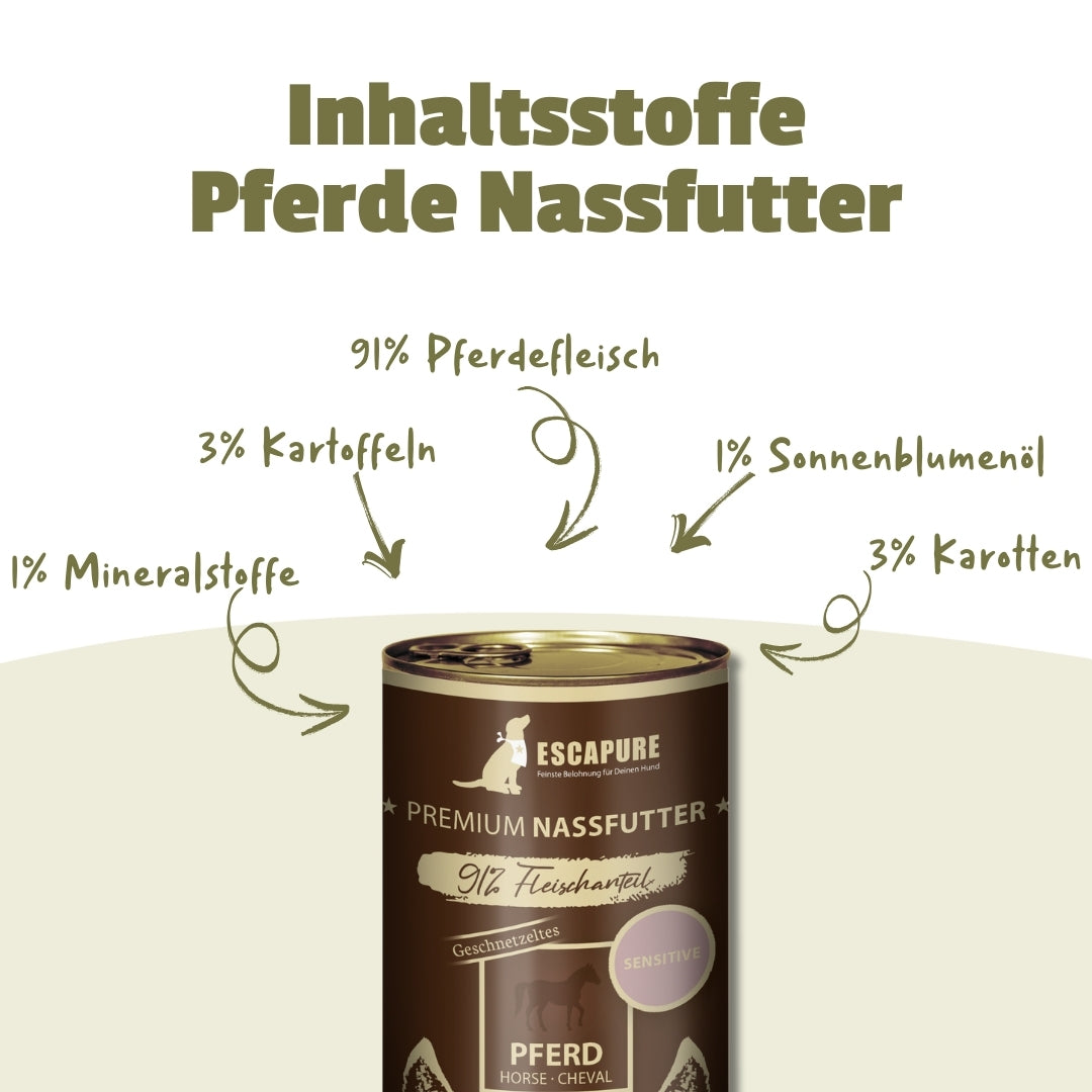 Testpaket Pferd