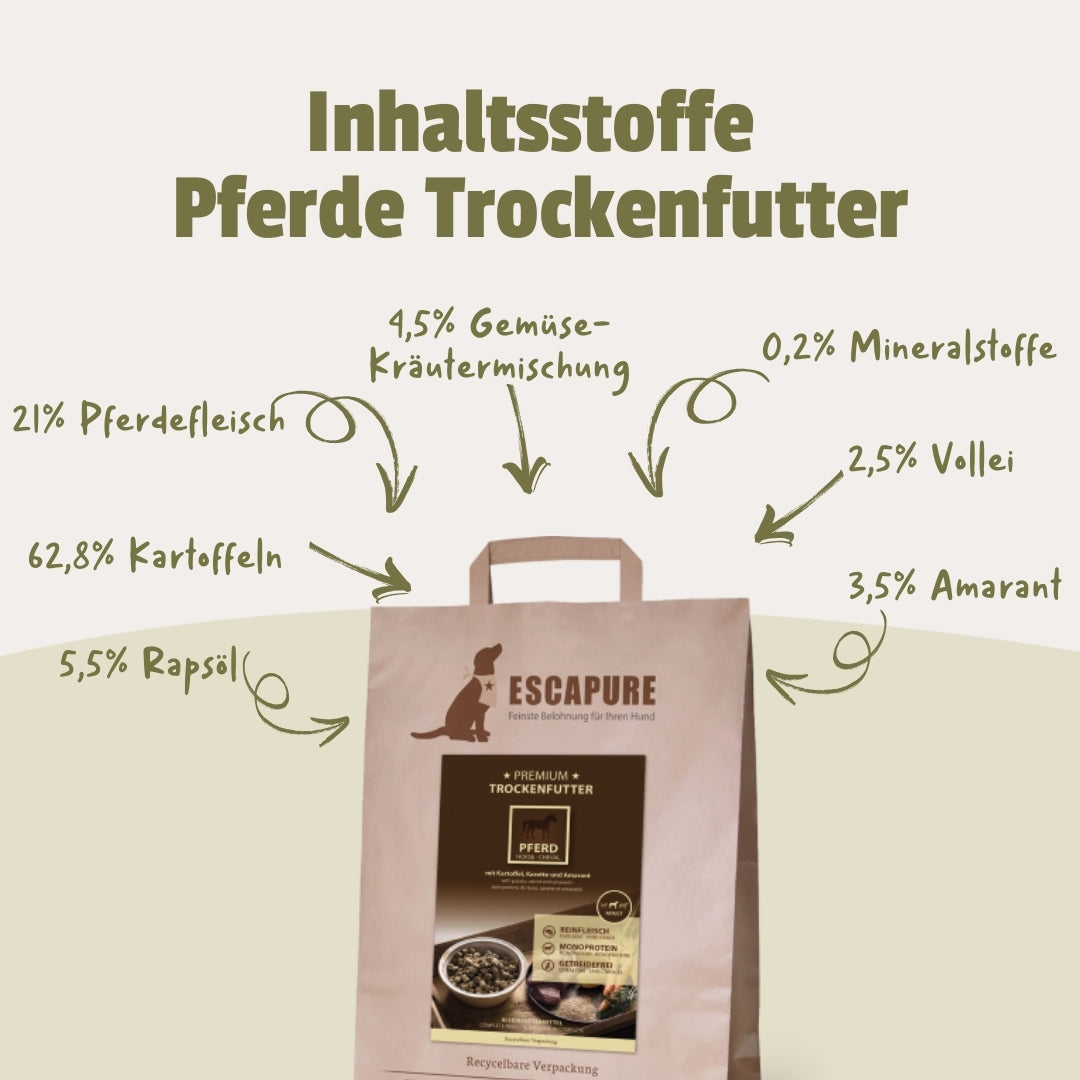 Testpaket Pferd