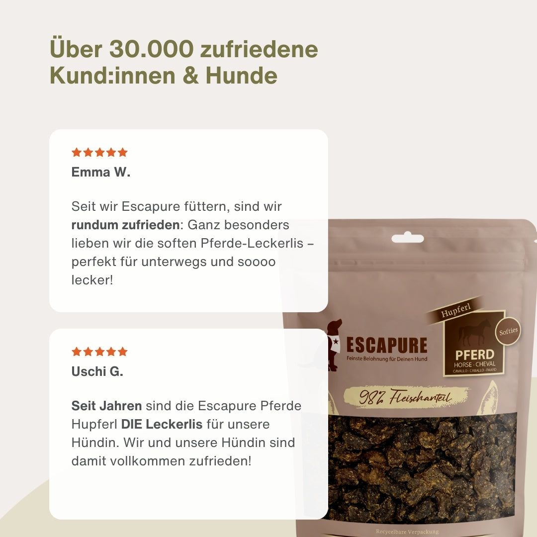 Testpaket Pferd