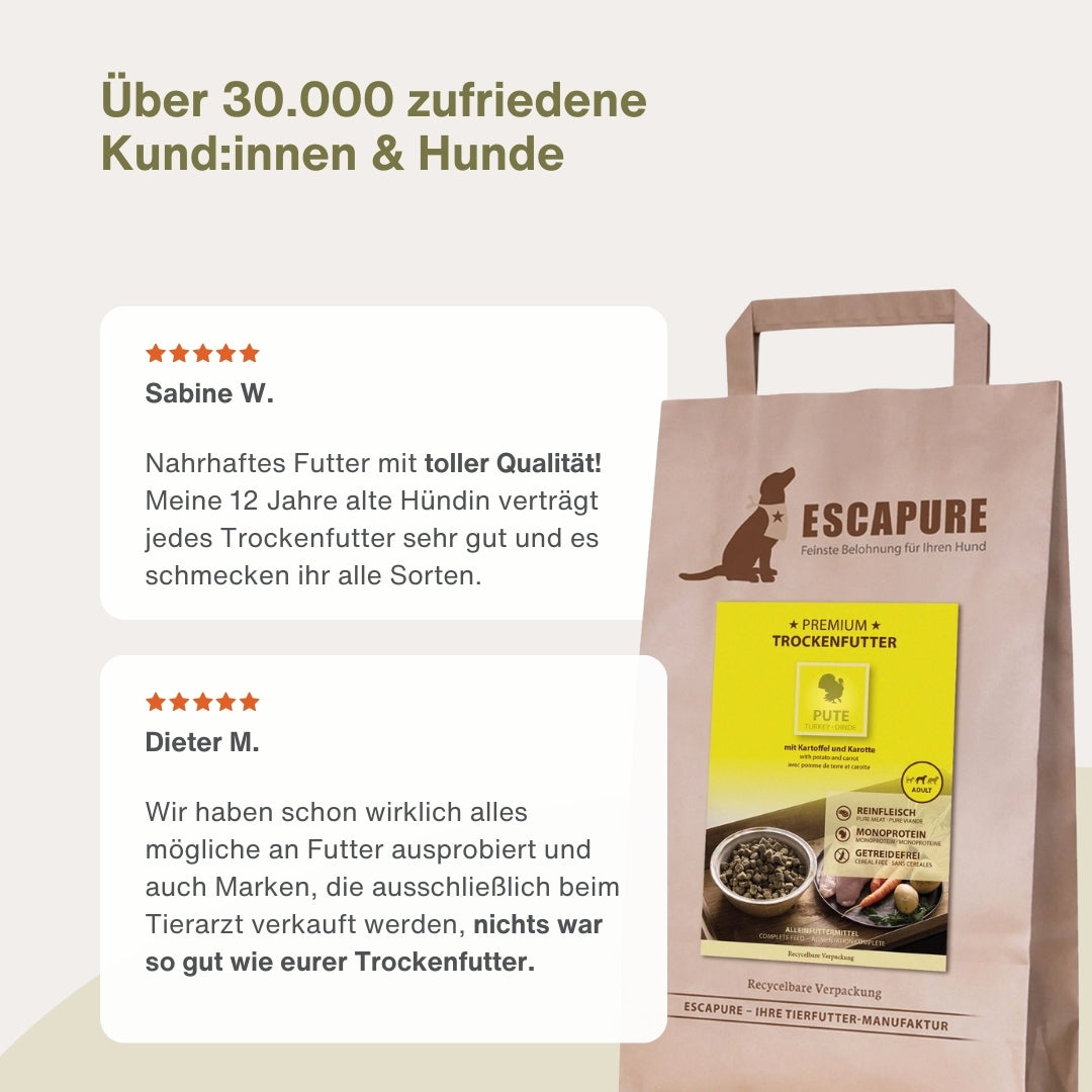 Testpaket Pute