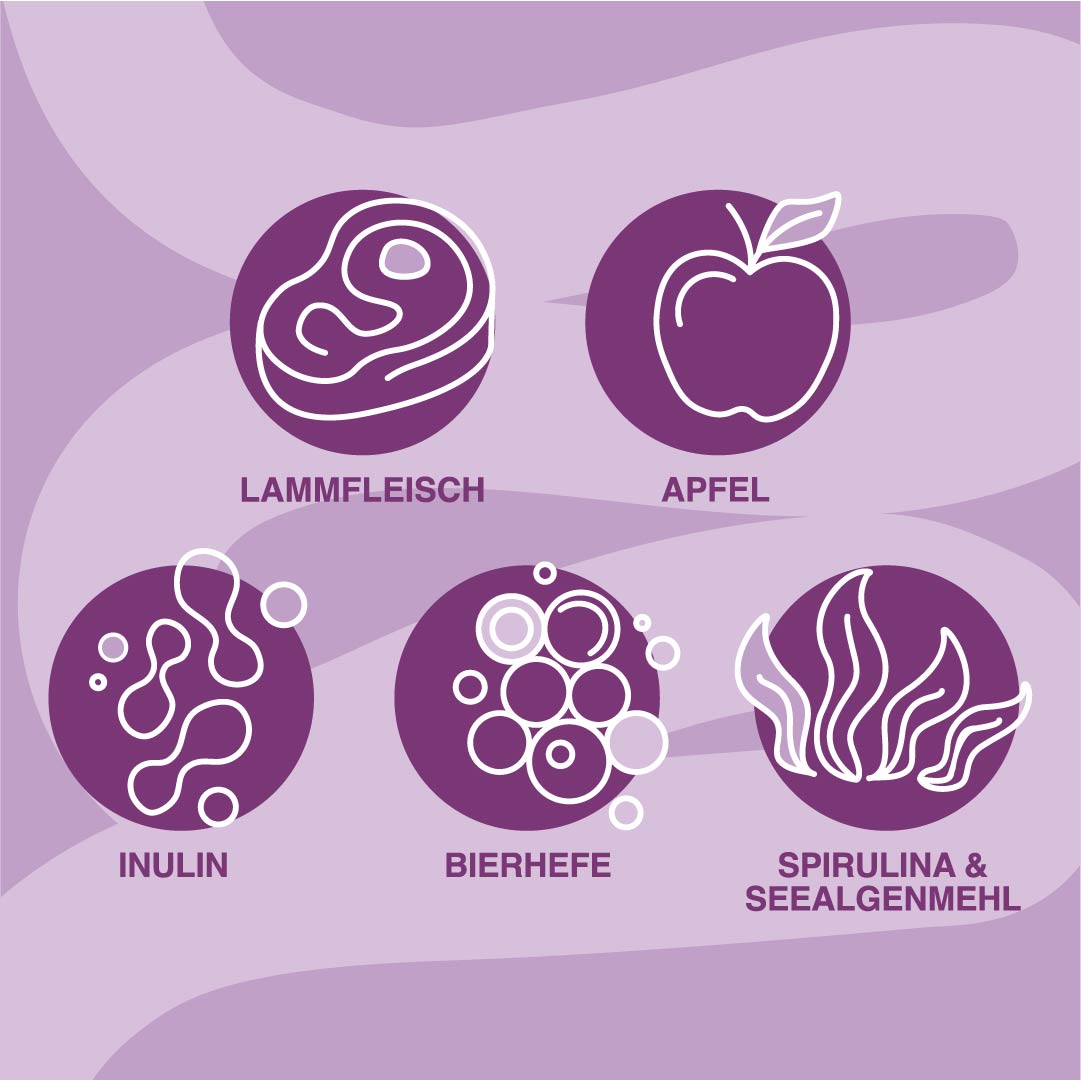 Superfood Softies Lamm