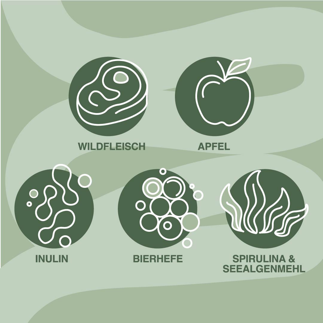 Superfood Softies Wild