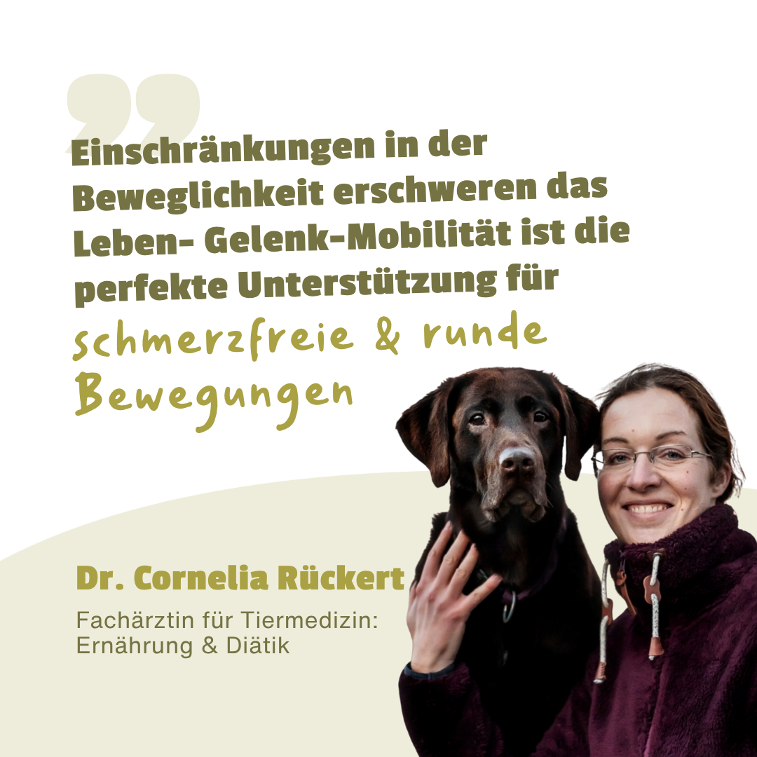 Gelenk Mobilität