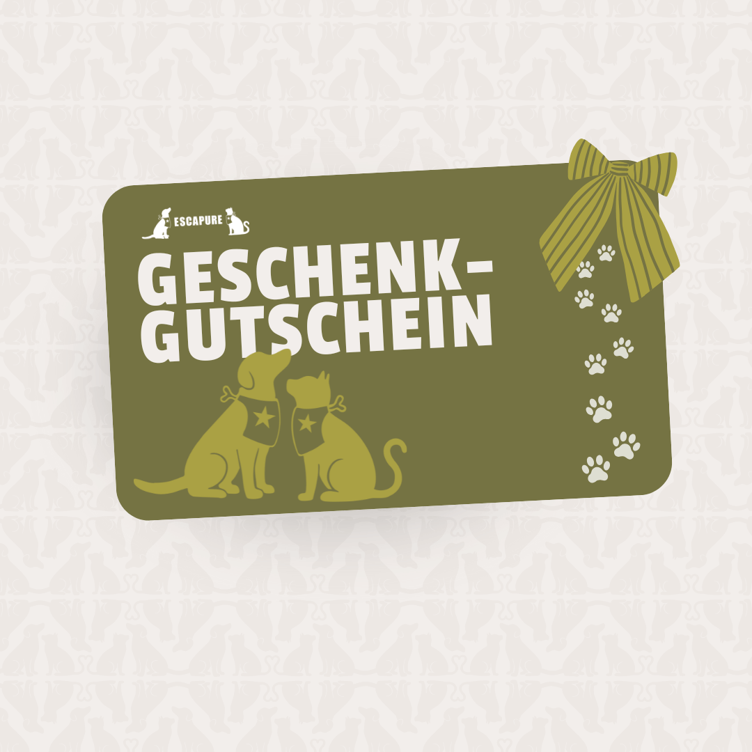 Geschenk Gutschein