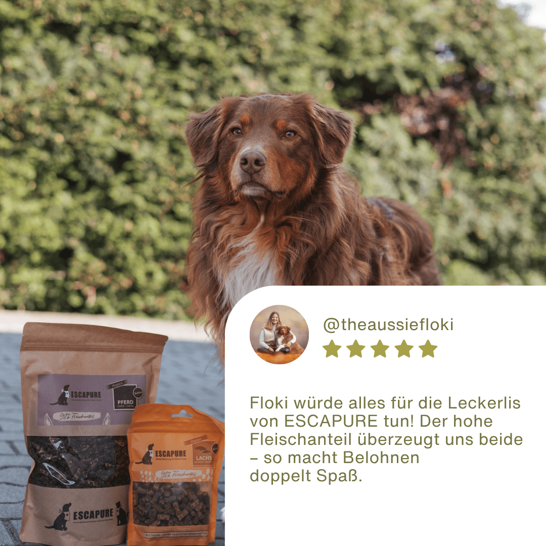 Lachs Snack Soft