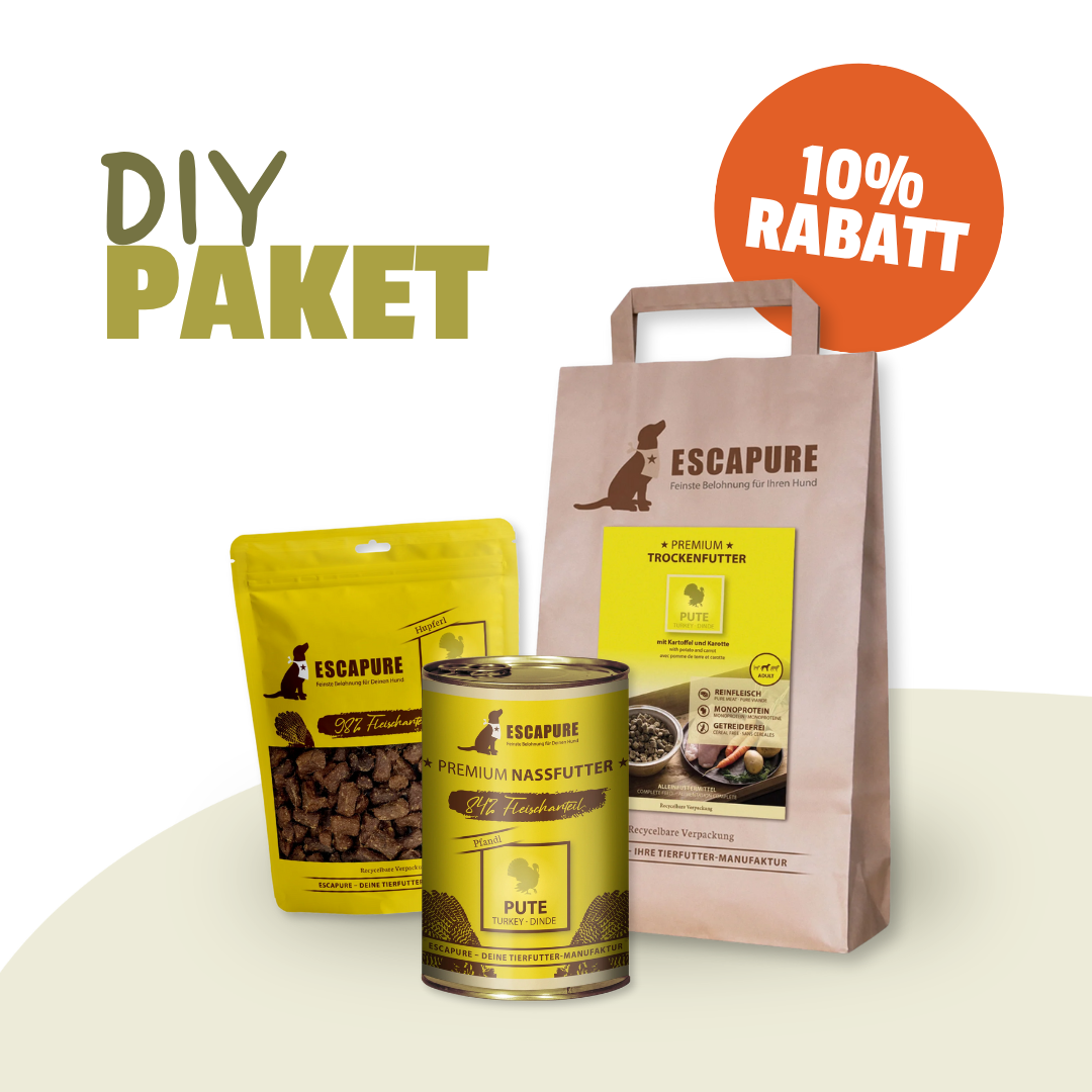Testpaket Pute