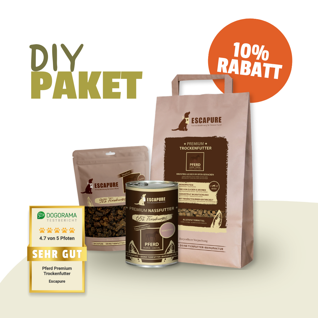 Testpaket Pferd