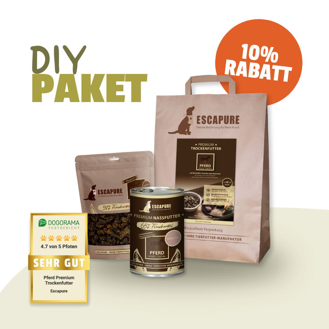 Testpaket Pferd