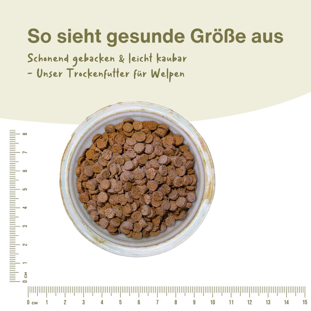 Welpe Rind Premium Trockenfutter