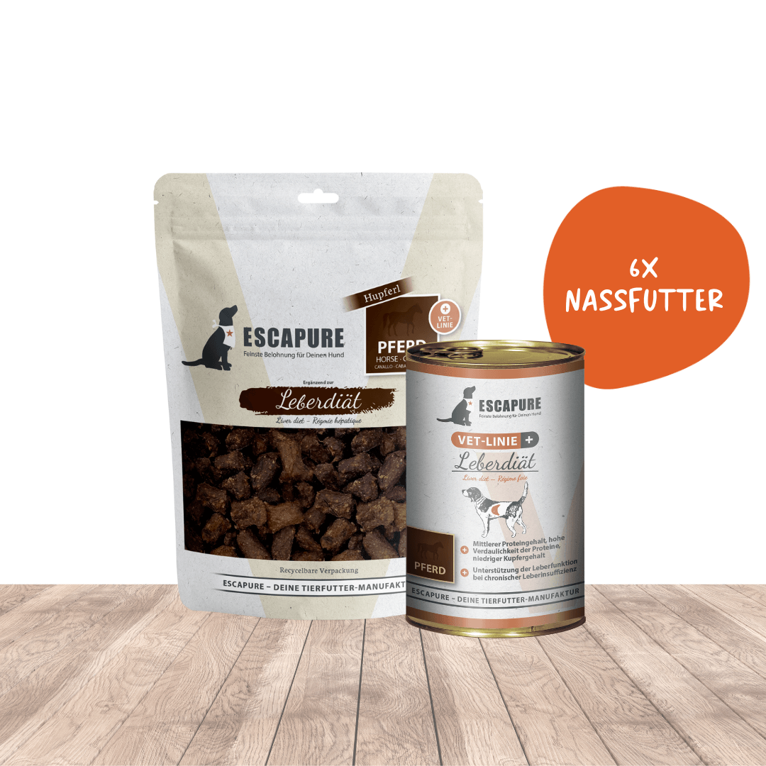 Willkommenspaket Leber Diät