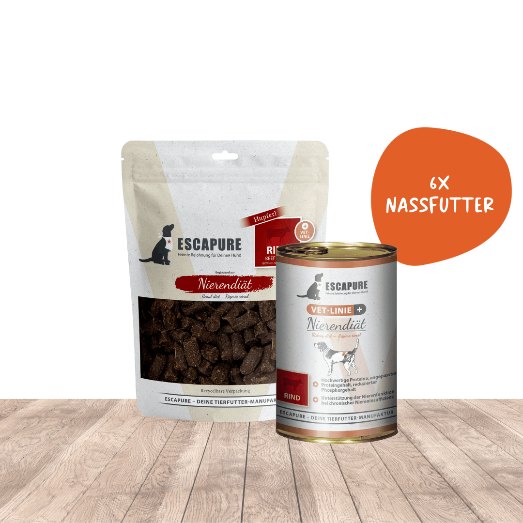 Willkommenspaket Nieren Diät