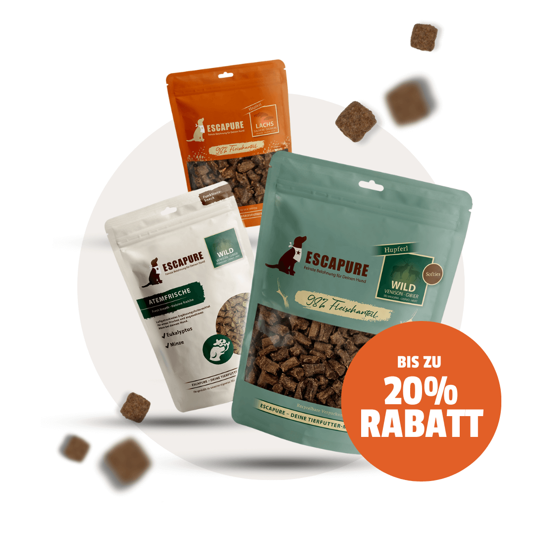 Dein Snack Testpaket