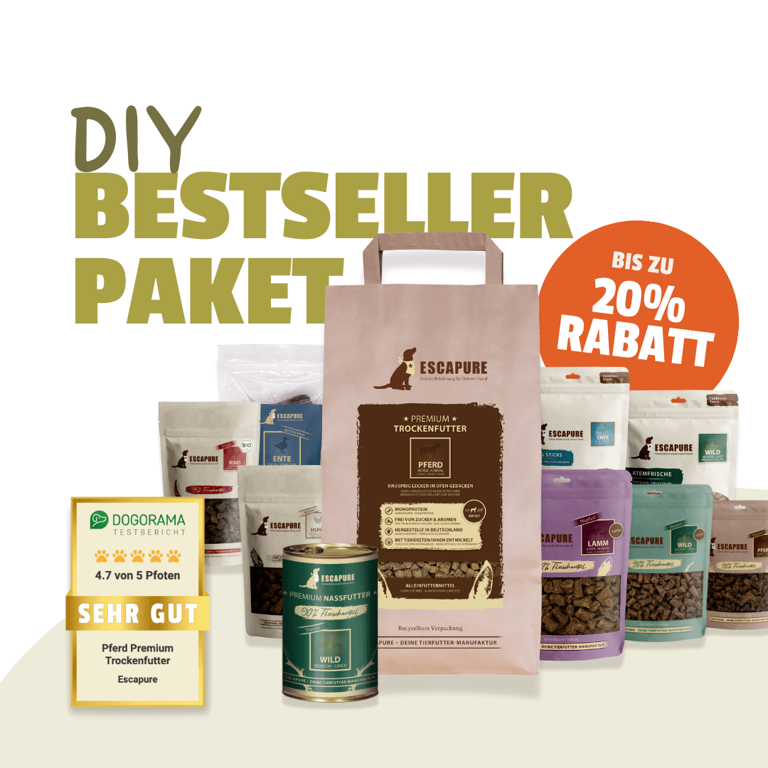 Bestseller Box