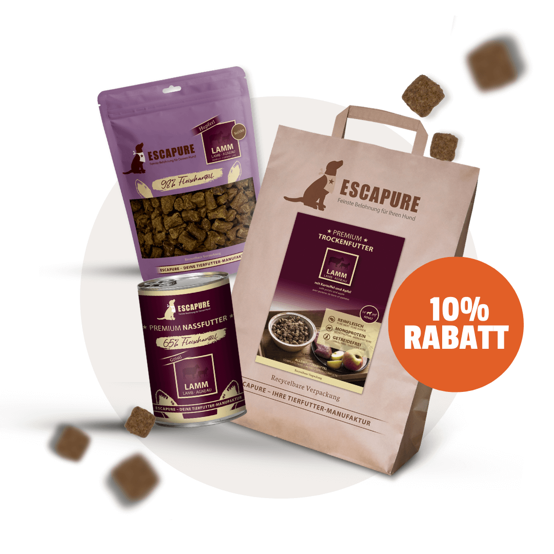 Testpaket Lamm