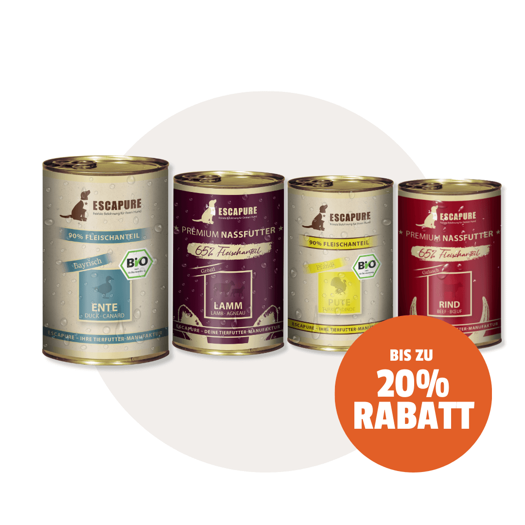 Dein Nassfutter Testpaket