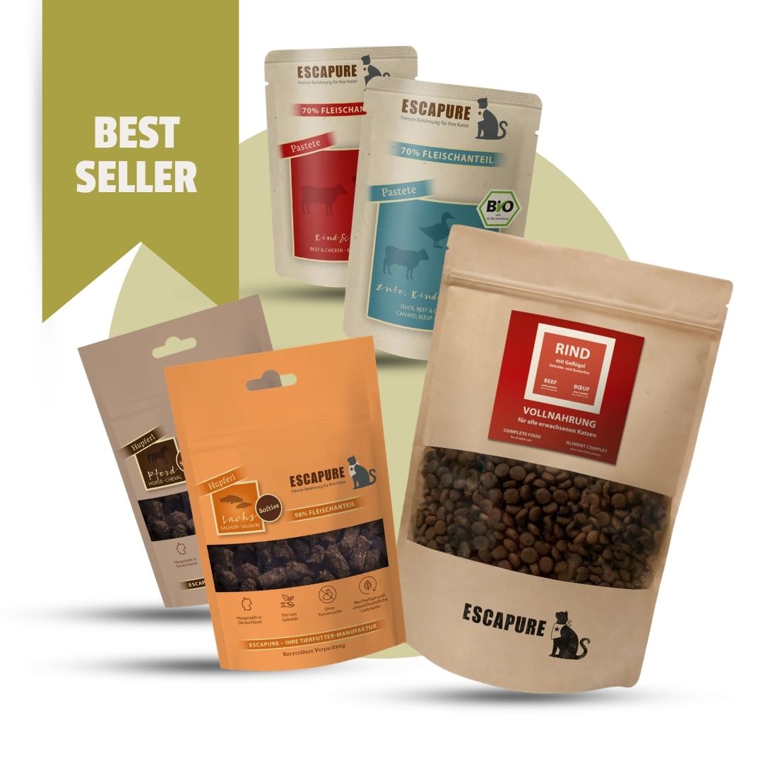 Bestseller Box für Katzen