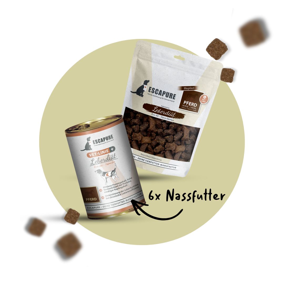 Willkommenspaket Leber Diät