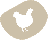 Hähnchen badge