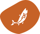 Lachs badge