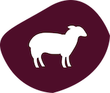Lamm badge