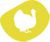 Pute badge