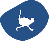 Strauss badge